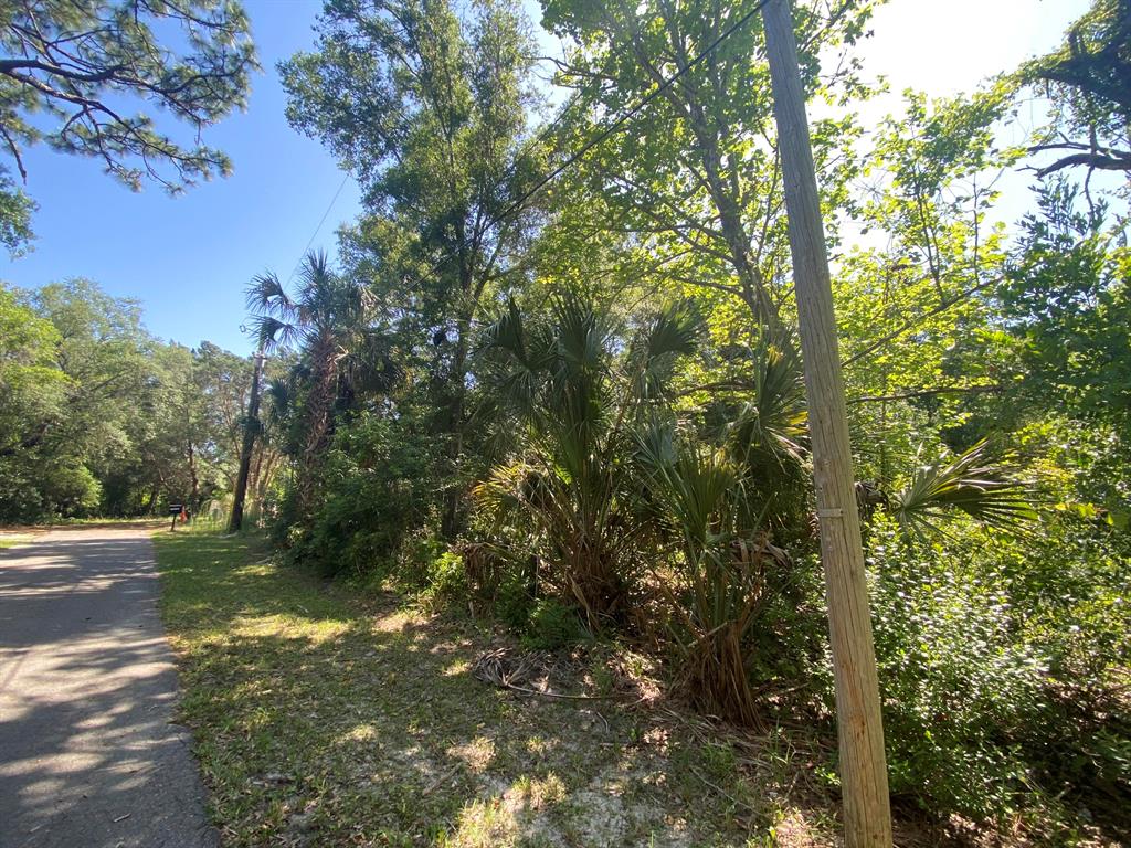 CRYSTAL RIVER (CITY OF) - Land