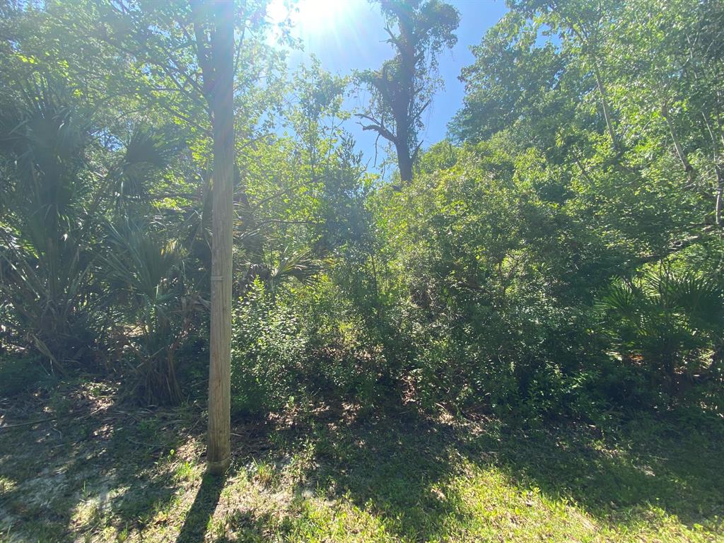 CRYSTAL RIVER (CITY OF) - Land