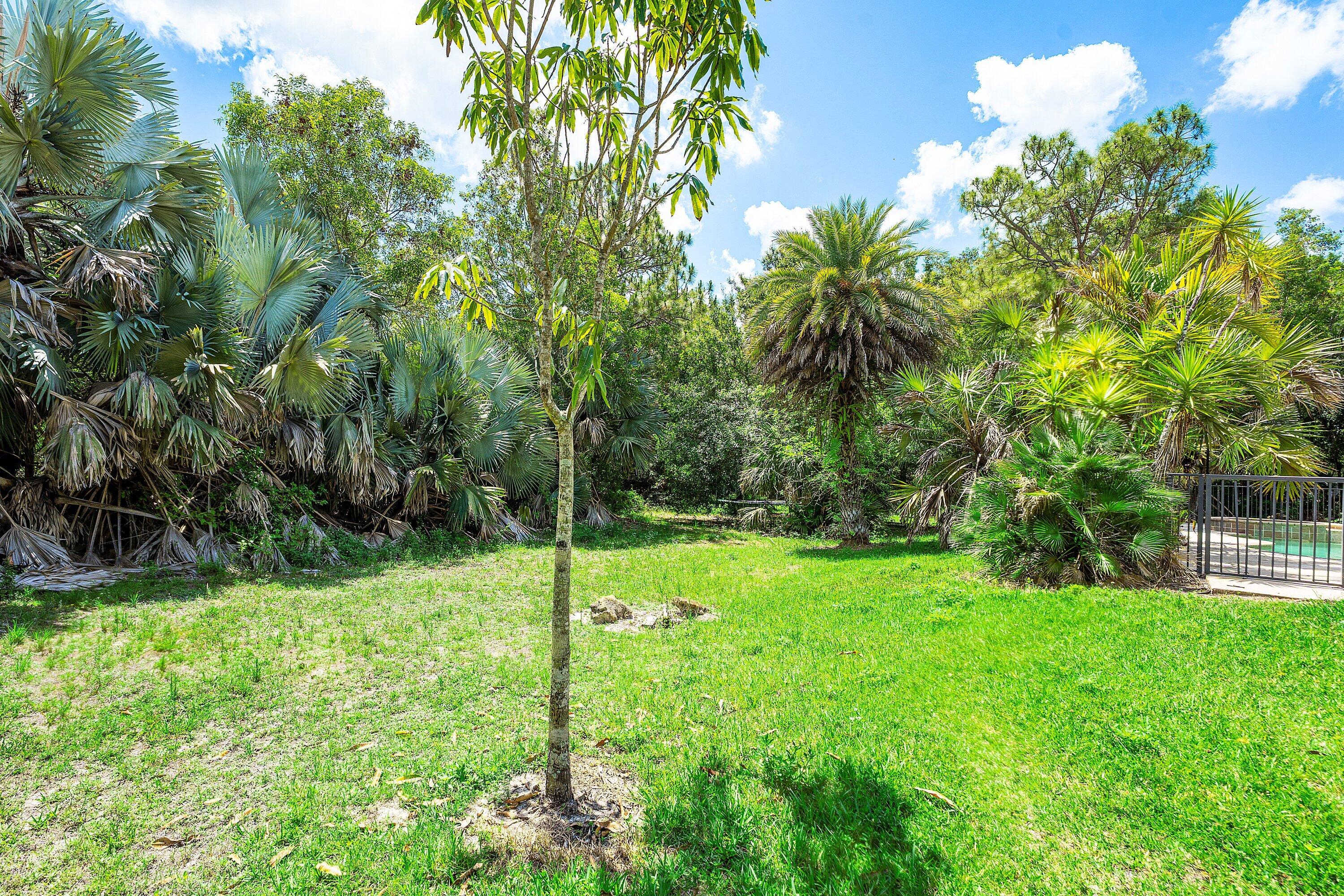 The Acreage - Residential
