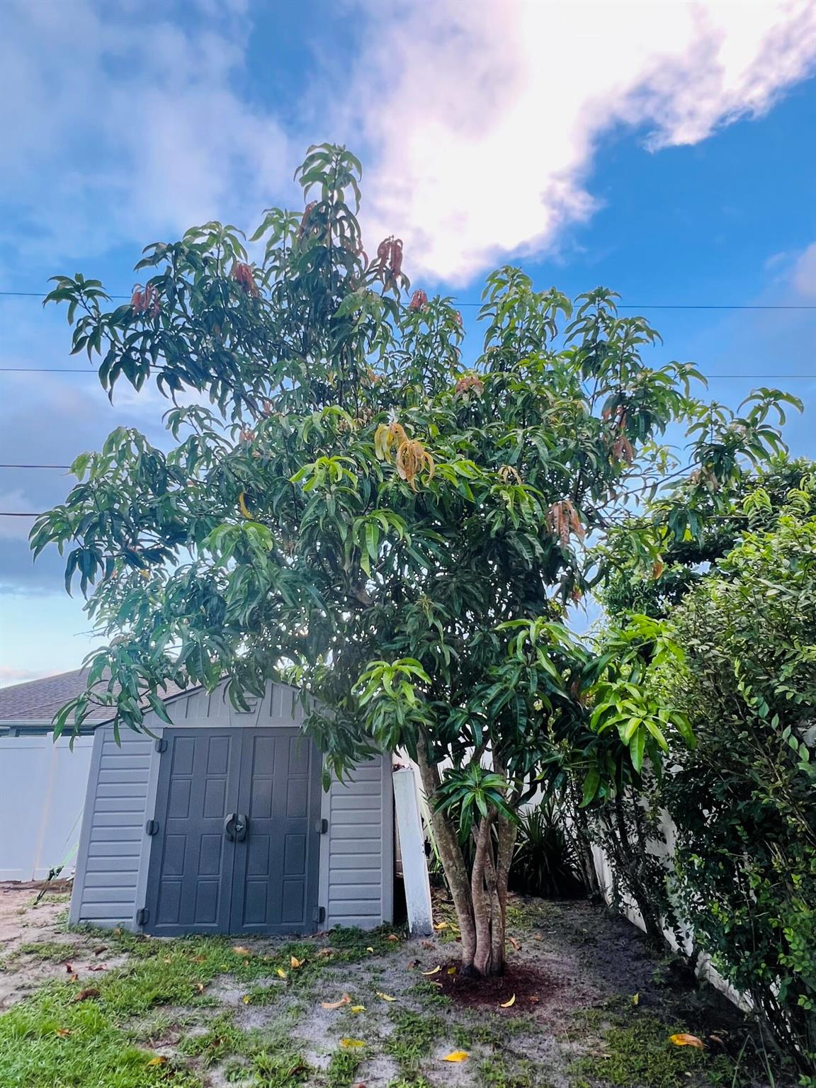 PORT ST LUCIE SECTION 21 - Residential