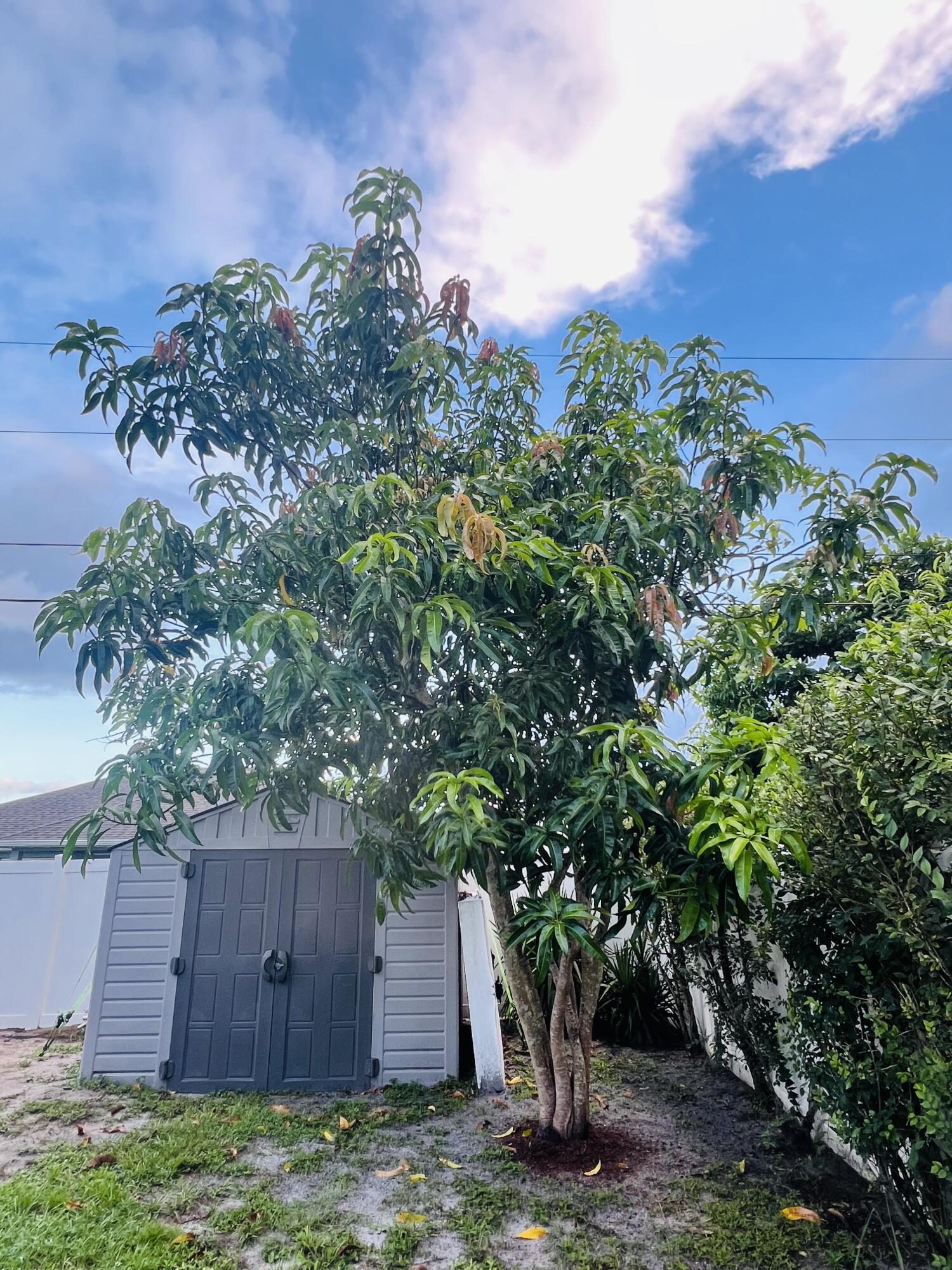 PORT ST LUCIE SECTION 21 - Residential