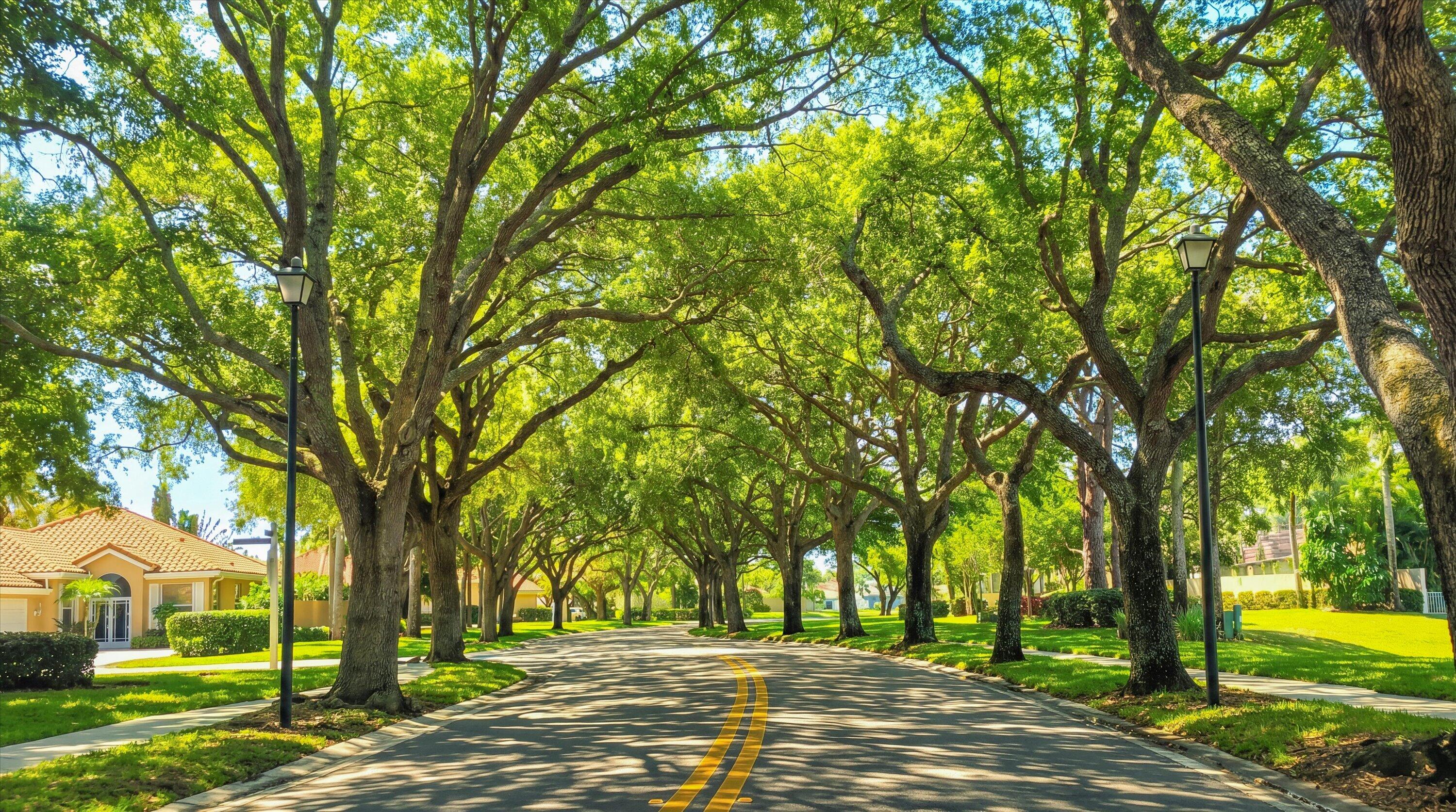HAMPTONS AT MAPLEWOOD - Residential
