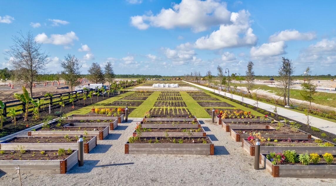 NEWFIELD CROSSROADS PHASE - Residential