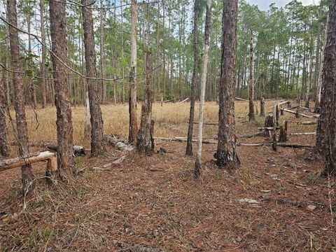 Tbd Chinaberry Street Eustis FL 32736