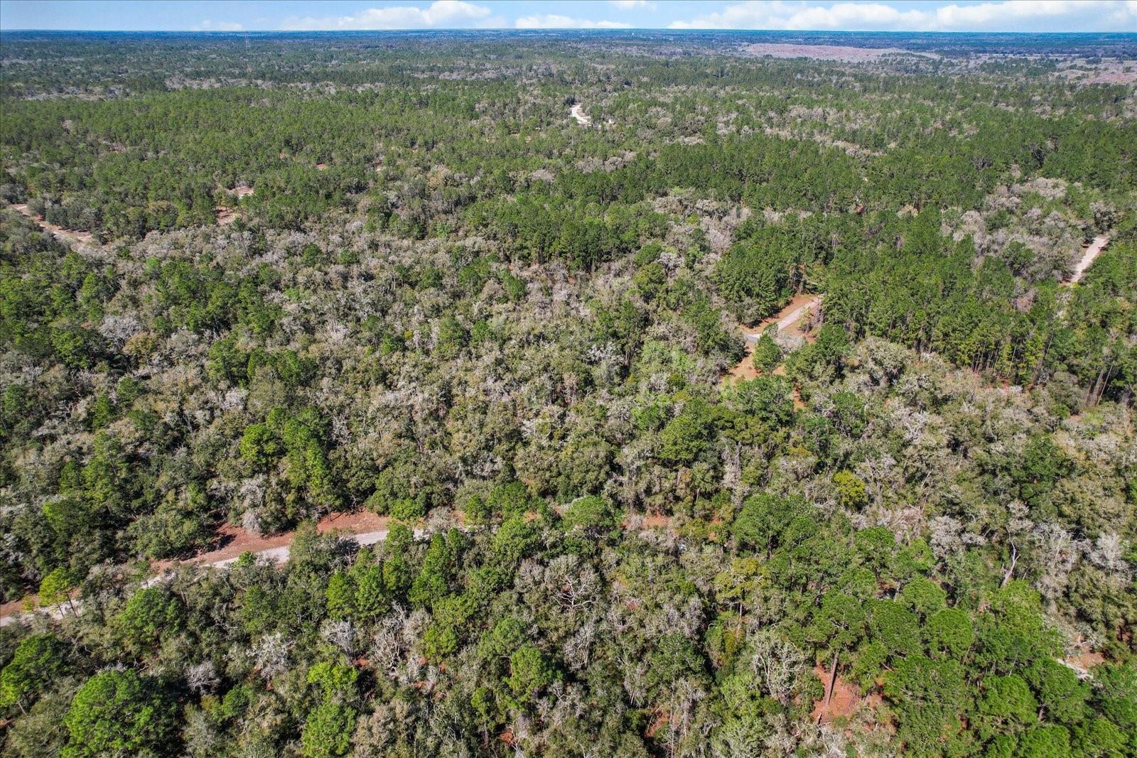 Citrus Spgs Unit 17 - Land