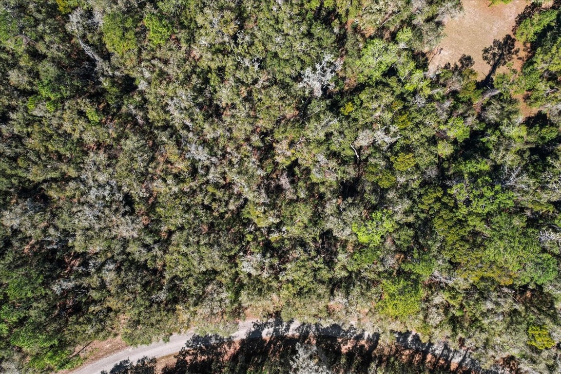 Citrus Spgs Unit 17 - Land