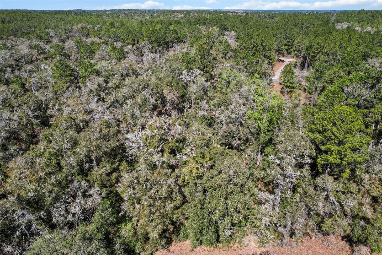 Citrus Spgs Unit 17 - Land