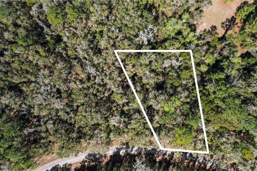 Welcome to this spacious land, perfect for building your dream home and creating a beautiful, expansive garden! Located in a prime area, this property is close to Citrus Springs Elementary, Citrus Springs Middle, and Lecanto High School, making it ideal for residents of all ages. You’ll also find Walmart, Publix, and Aldi nearby for all your shopping needs. Whether you’re seeking peace and privacy or convenience, this lot offers the best of both. Don’t miss the chance to build your ideal home and garden. Send your offer today!