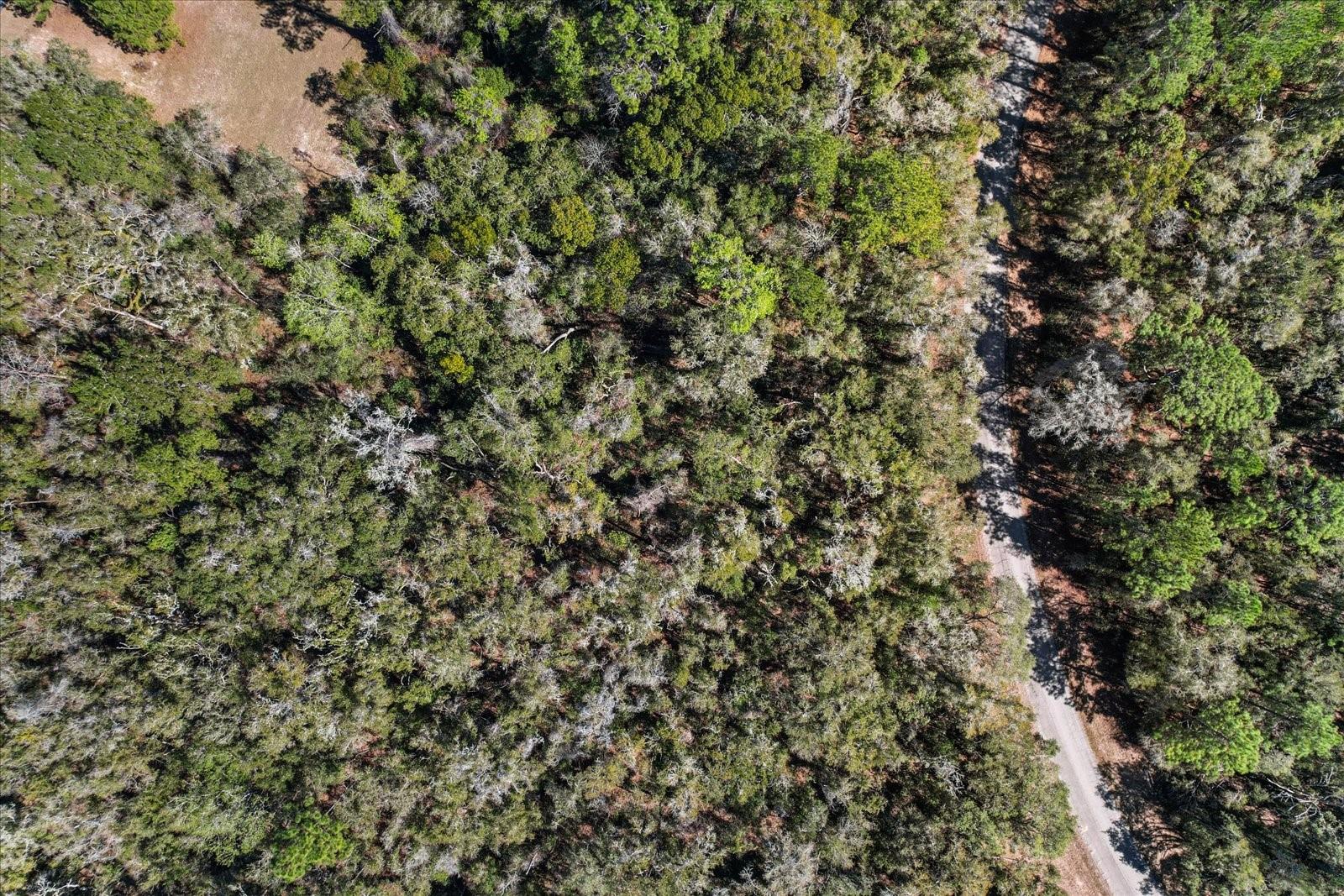 Citrus Spgs Unit 17 - Land