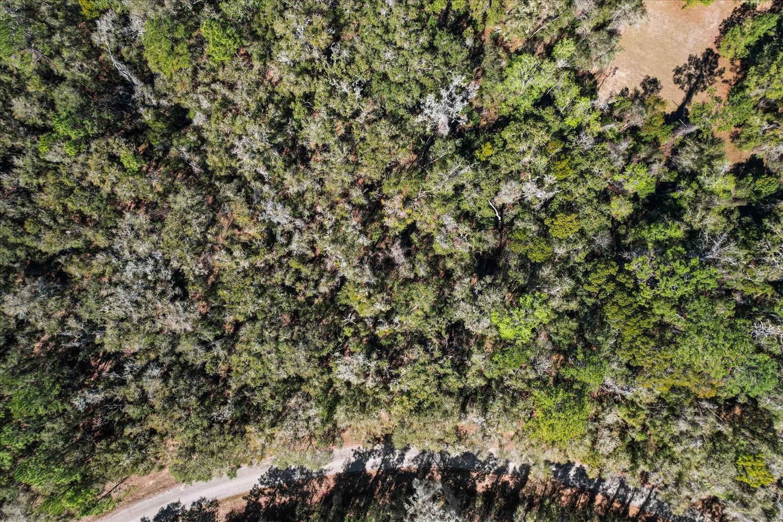 Citrus Spgs Unit 17 - Land