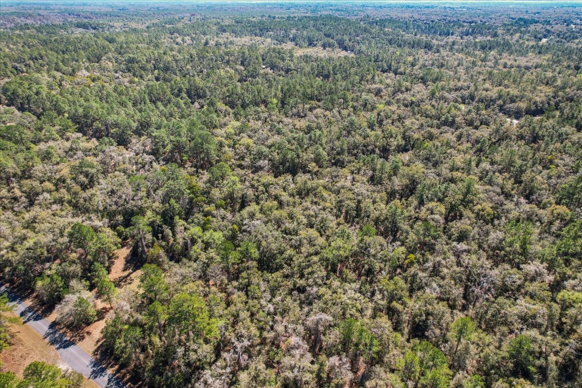 Citrus Spgs Unit 17 - Land