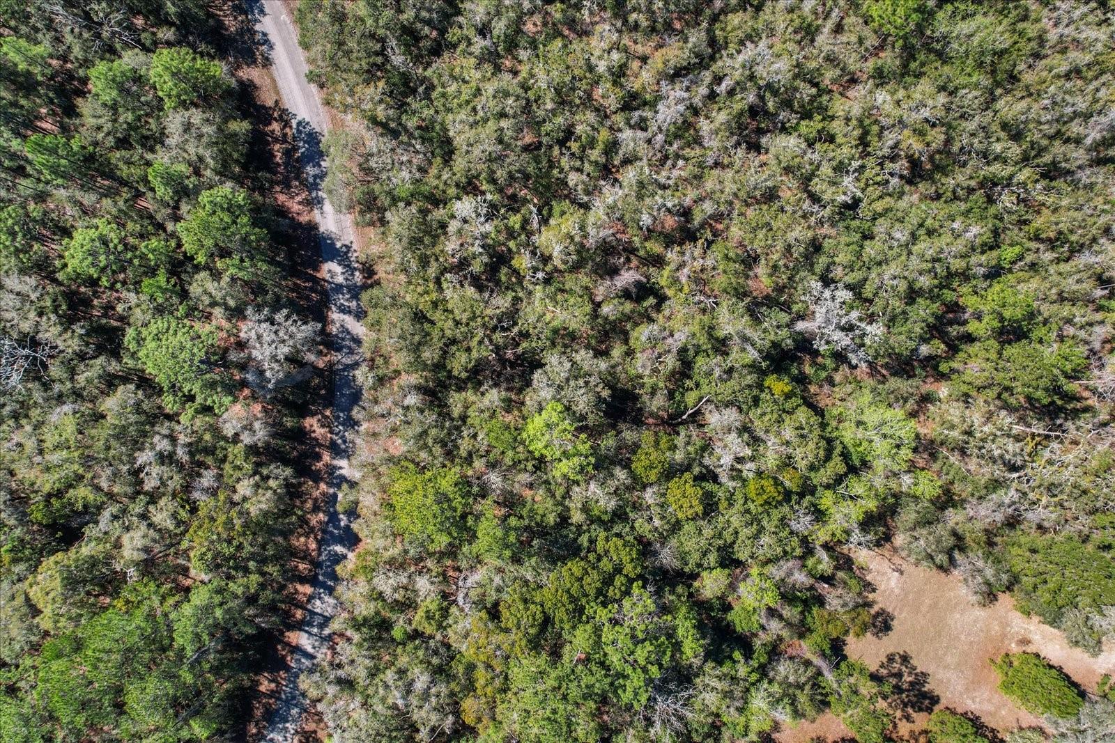 Citrus Spgs Unit 17 - Land