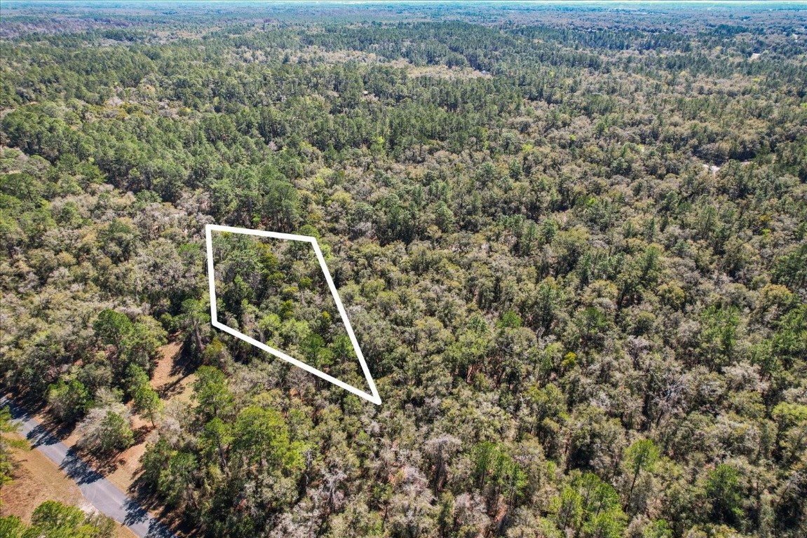 Citrus Spgs Unit 17 - Land