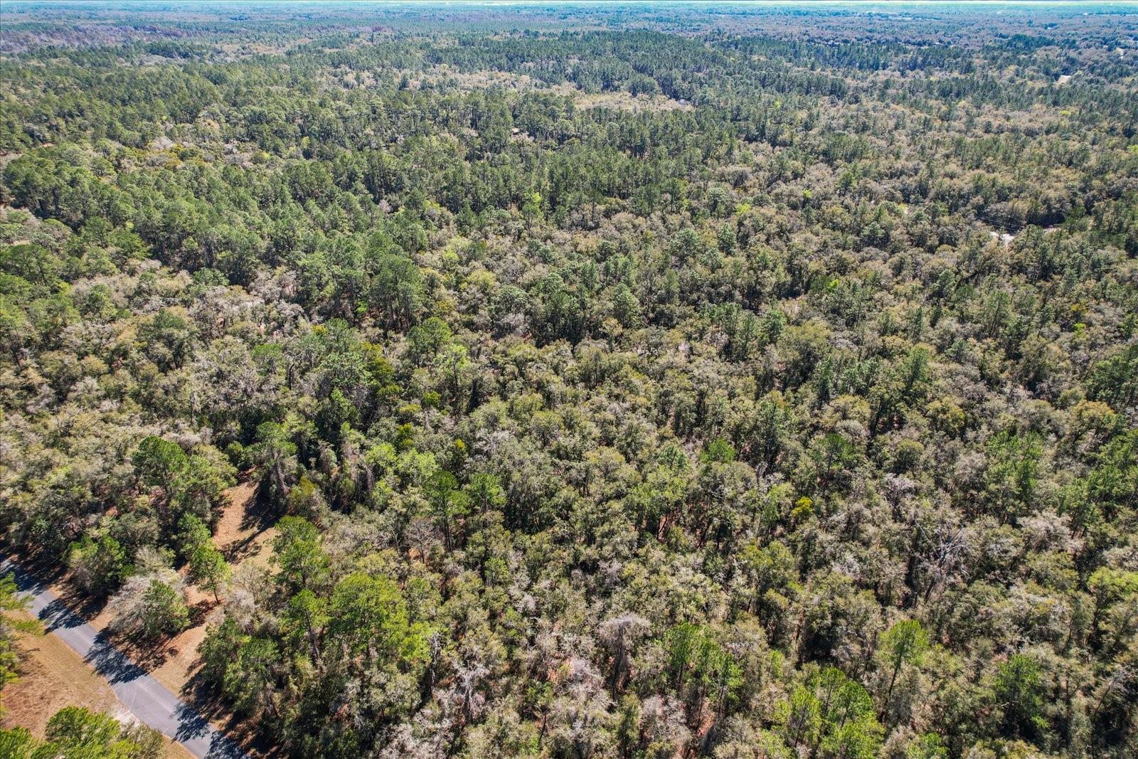 Citrus Spgs Unit 17 - Land