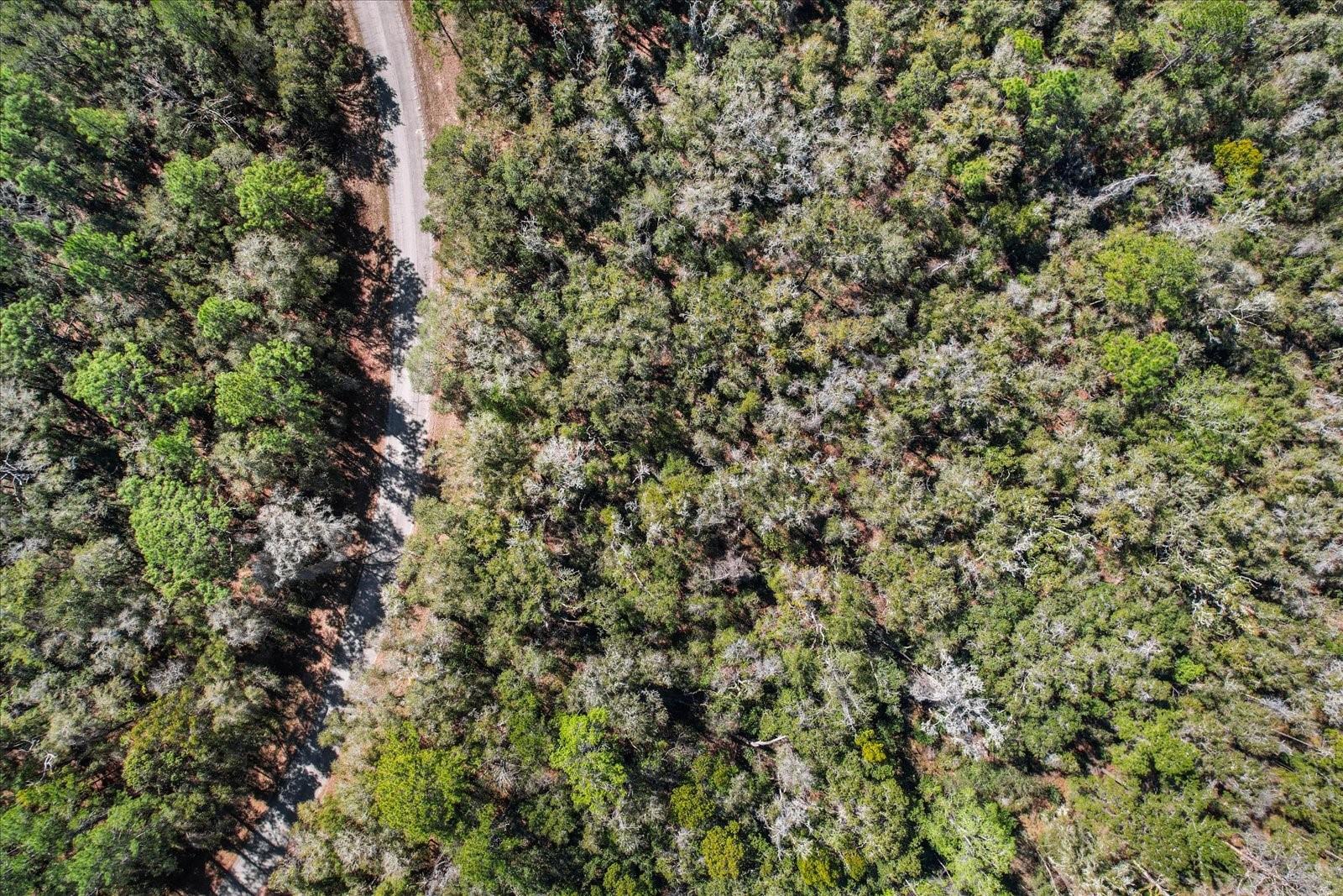 Citrus Spgs Unit 17 - Land