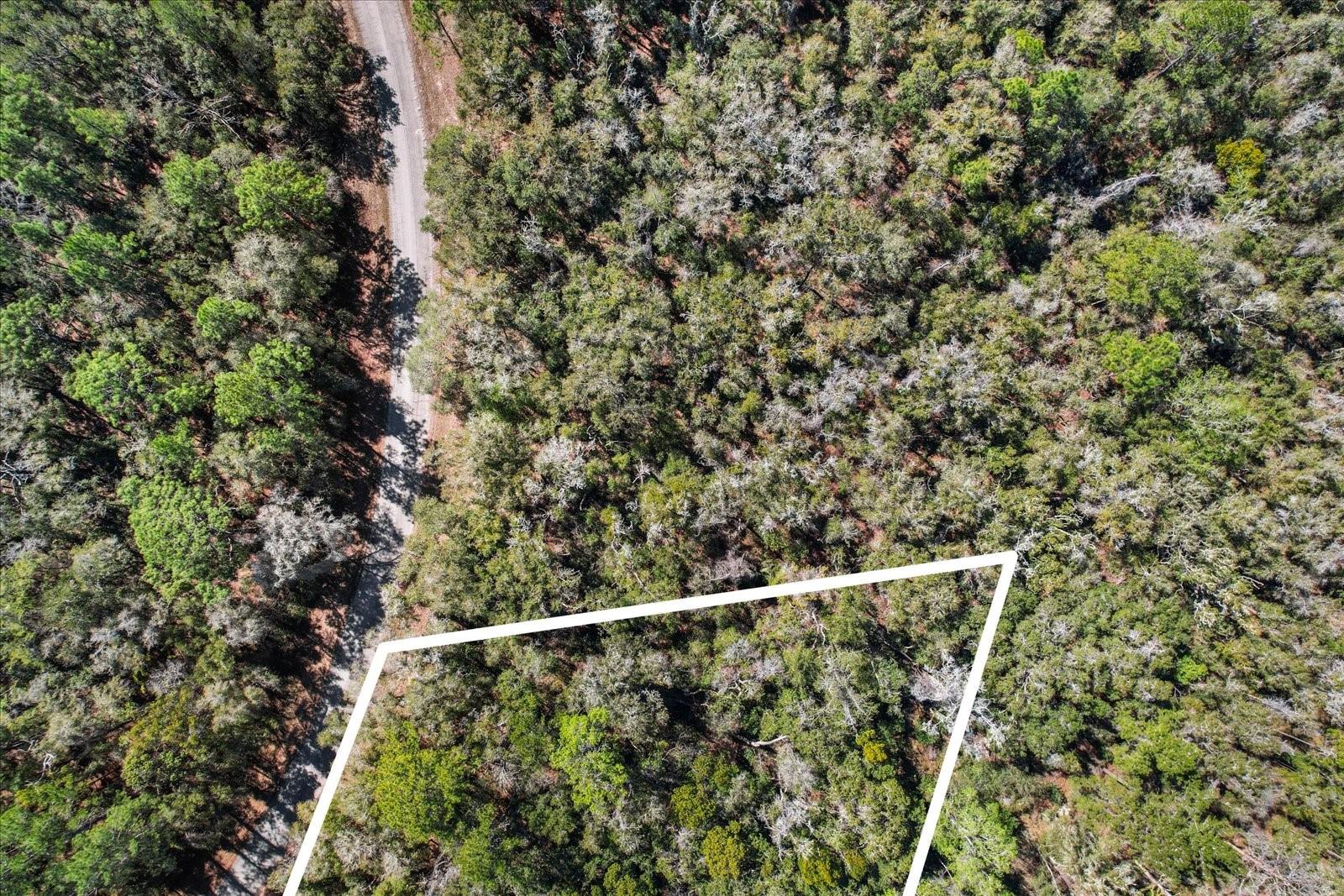 Citrus Spgs Unit 17 - Land