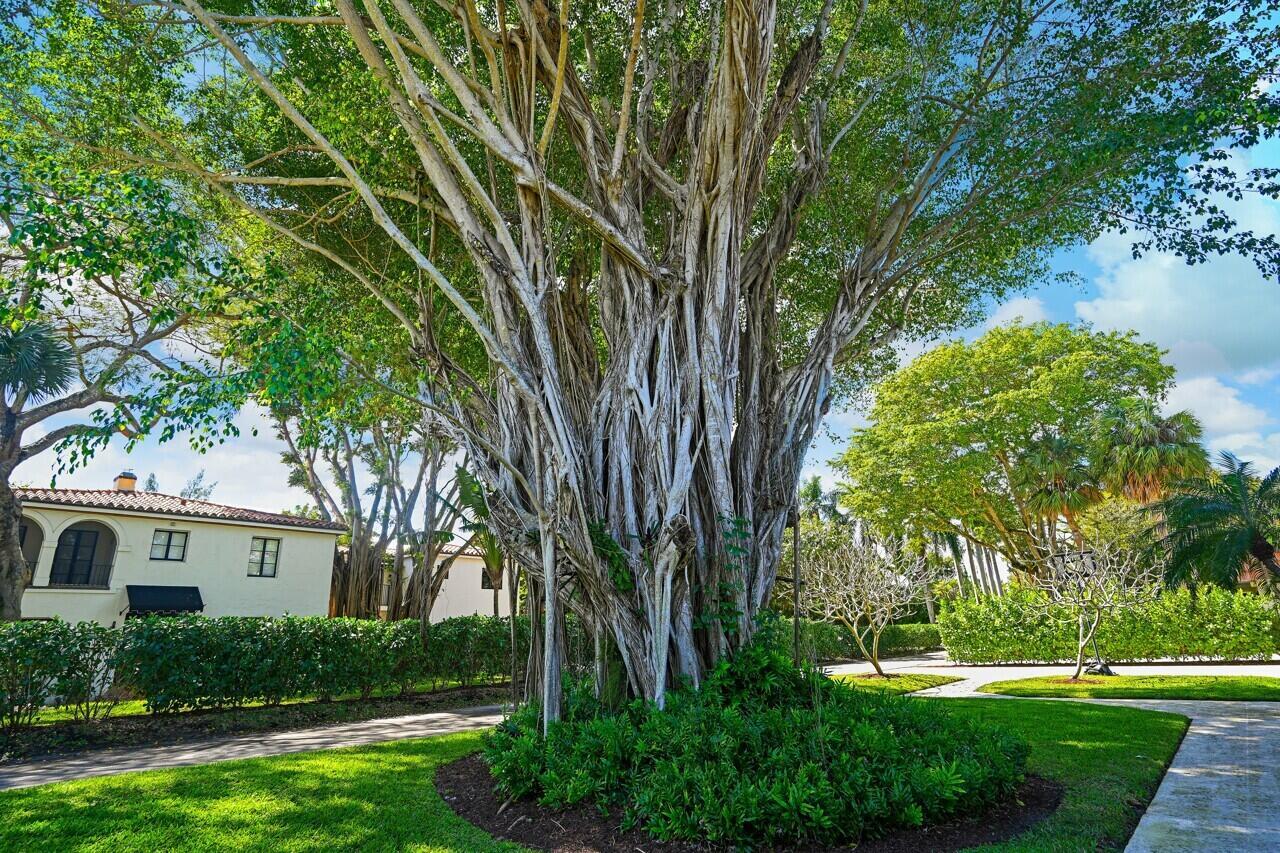 OLD FLORESTA - Residential