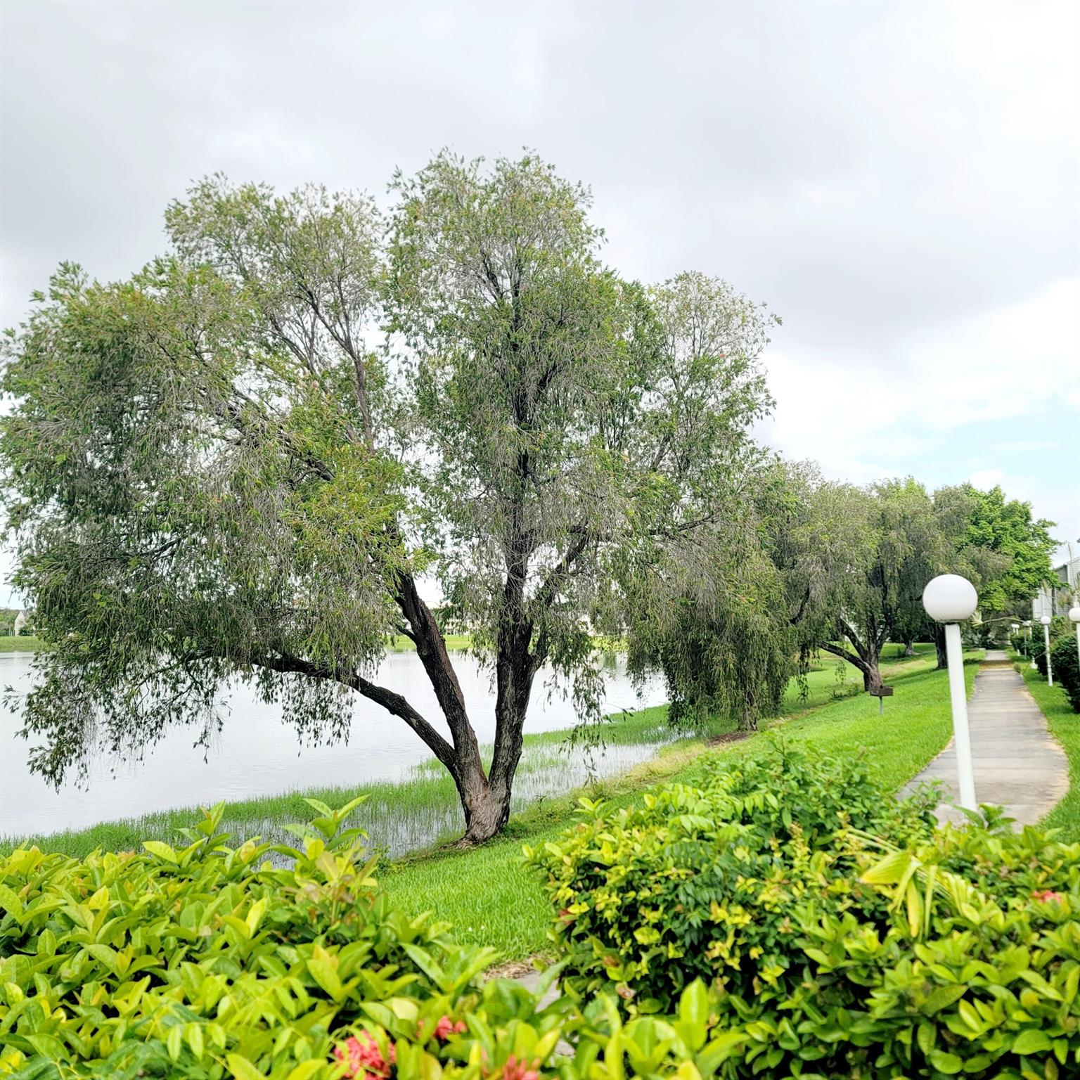 SUMMER LAKE - Residential Lease