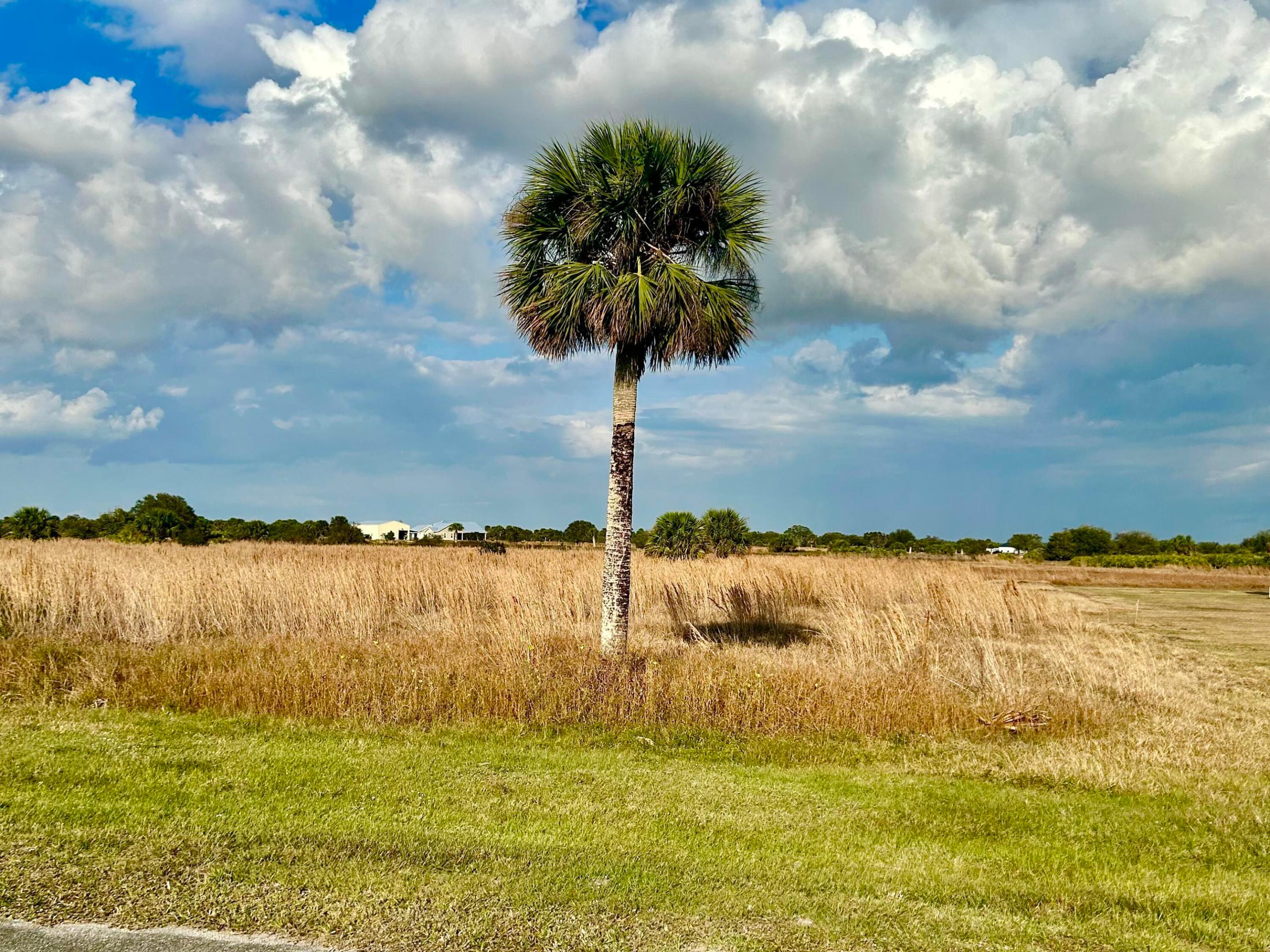 SHERMAN WOOD RANCHES - Land