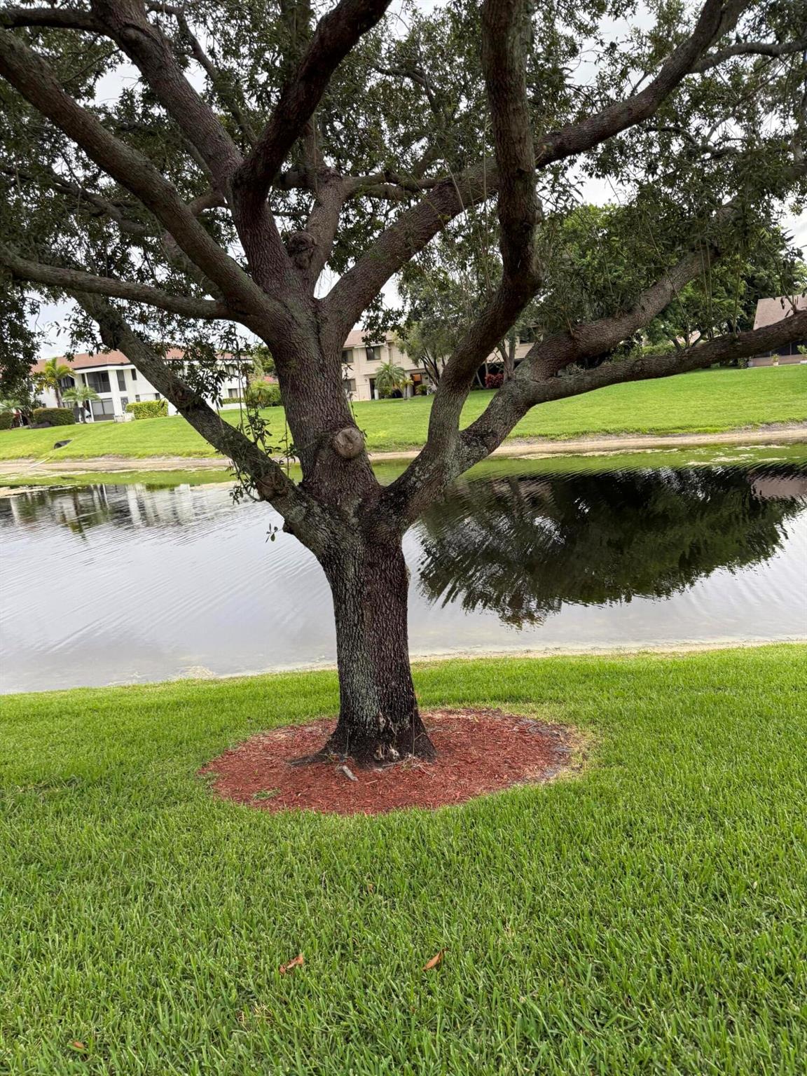 LAGO DEL REY NORTH AMSTER - Residential