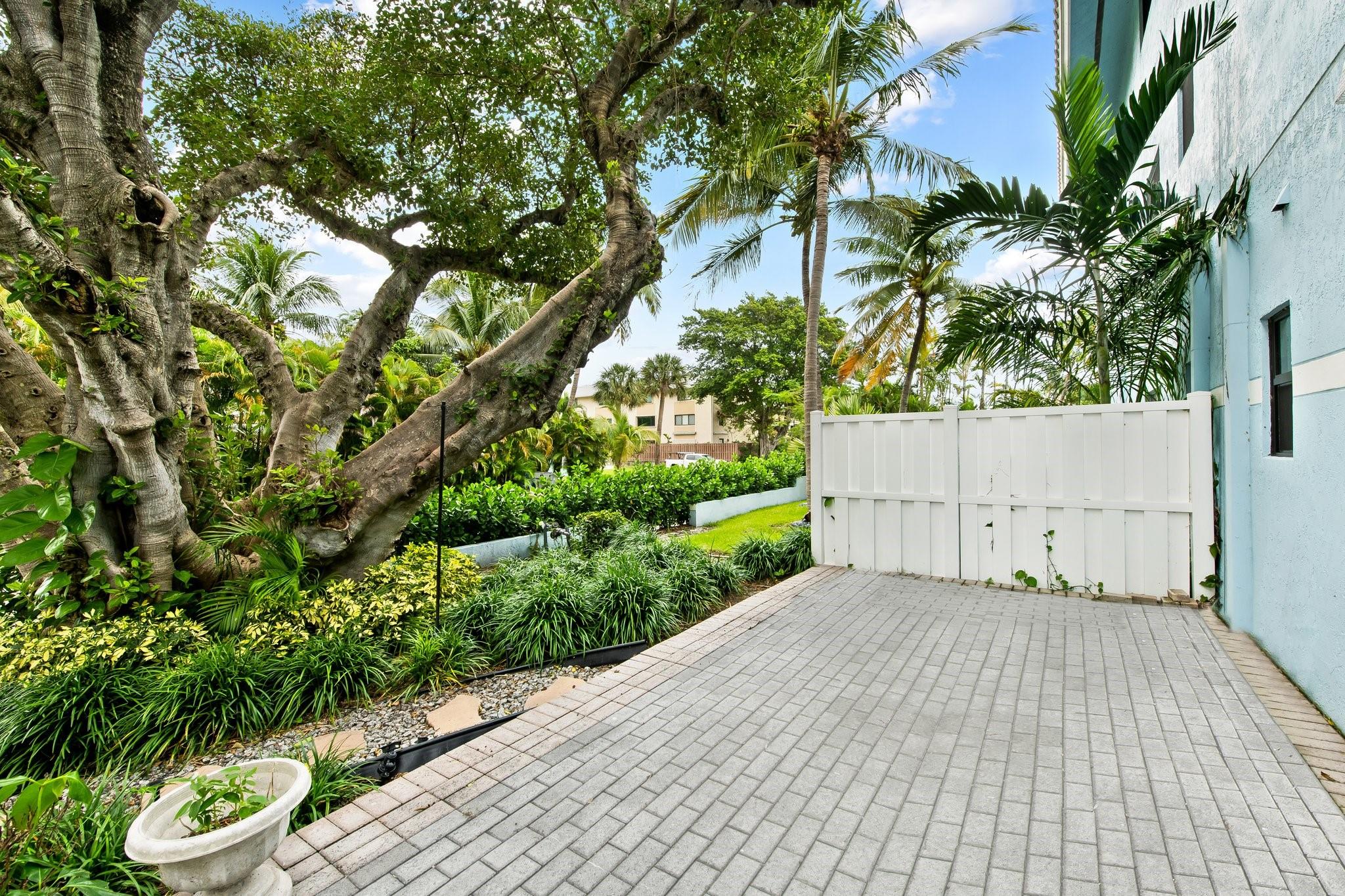 Banyan Tree Court - Residential Lease