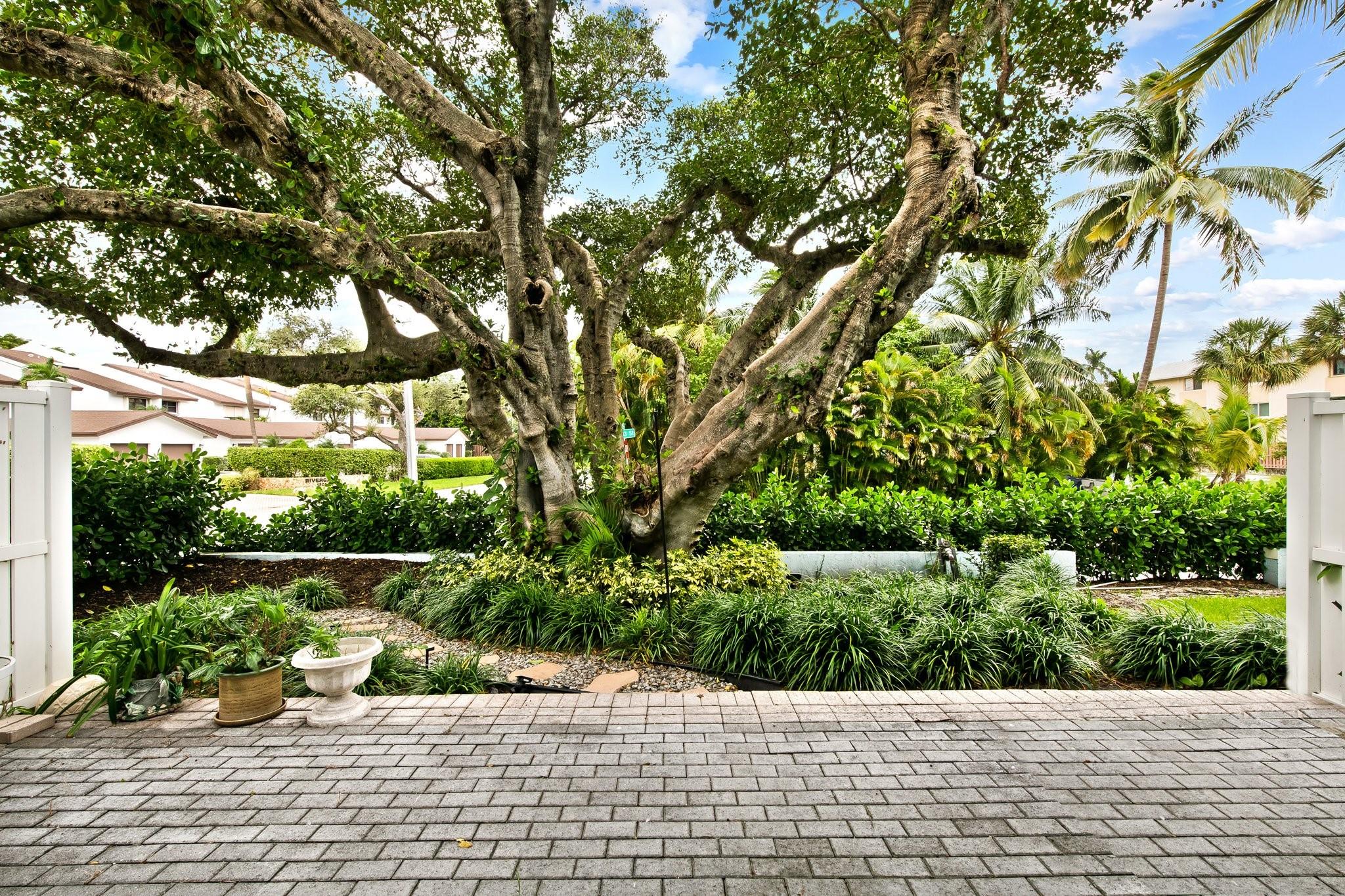 Banyan Tree Court - Residential Lease