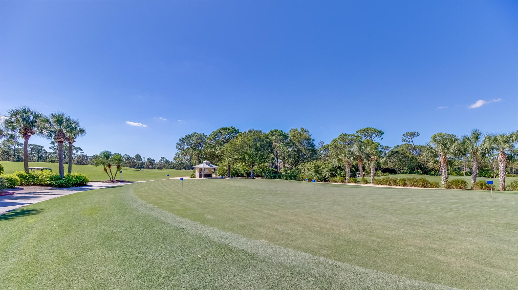 THE PINES AT THE RESERVE - Residential