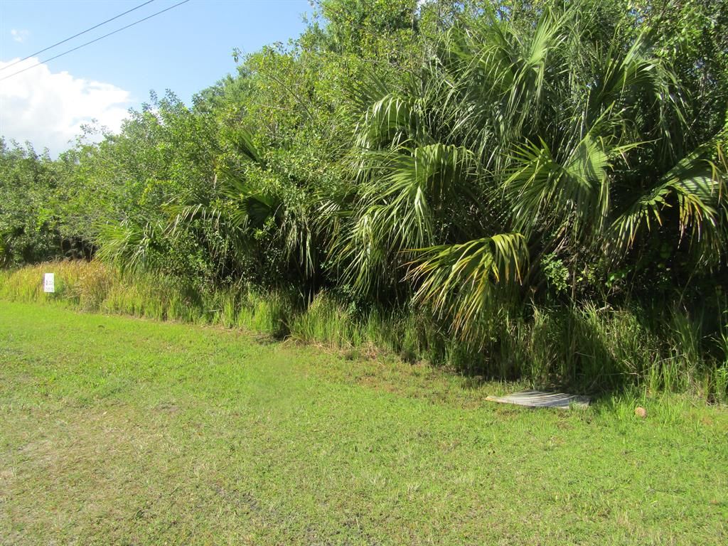 Photo of 1217 SW Alcantarra Boulevard, Port Saint Lucie, FL 34953 (MLS # R10701438)