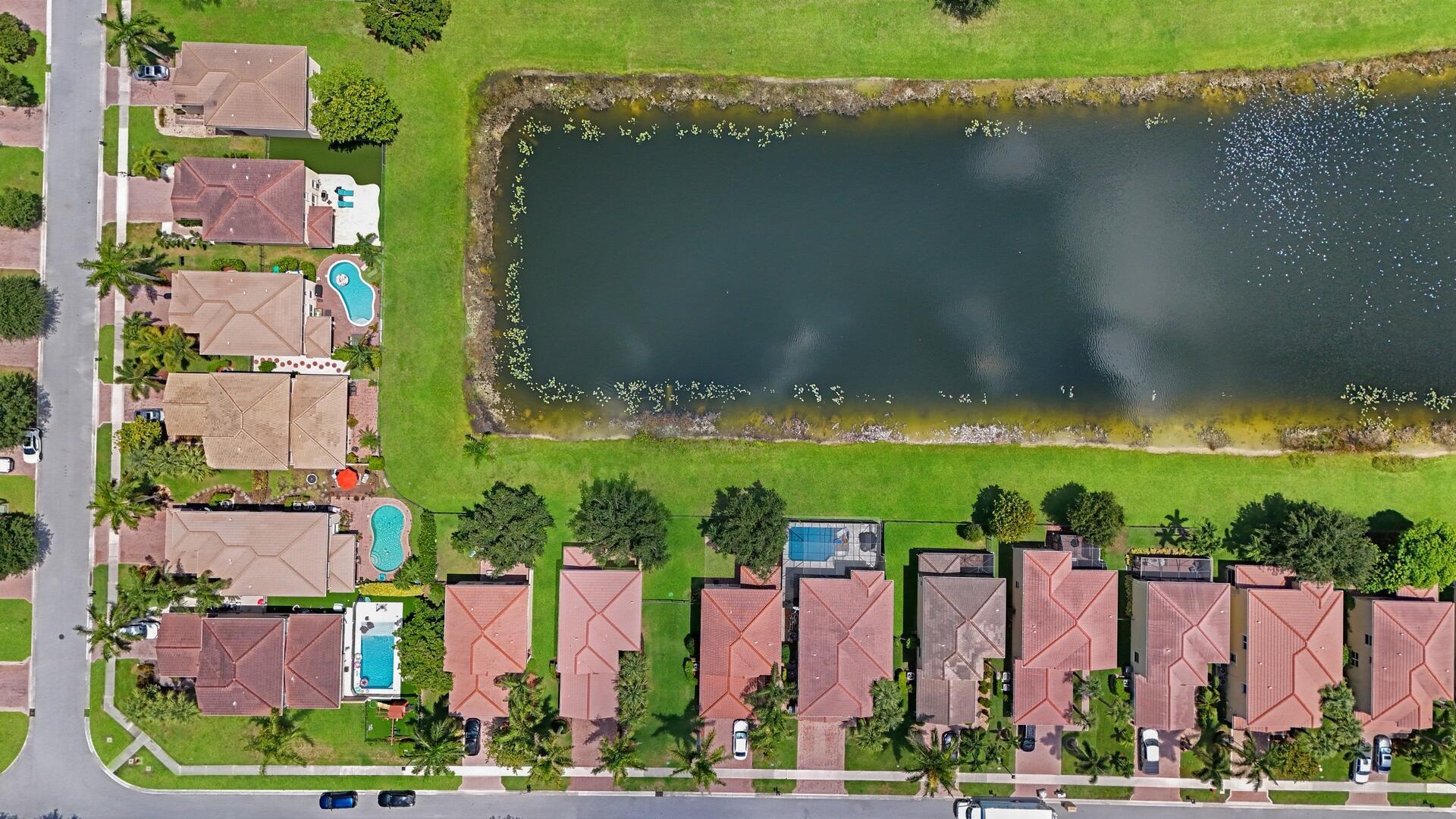 Greystone - Residential Lease