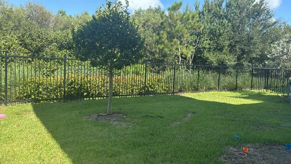 Sienna At Cooper City 183 - Residential
