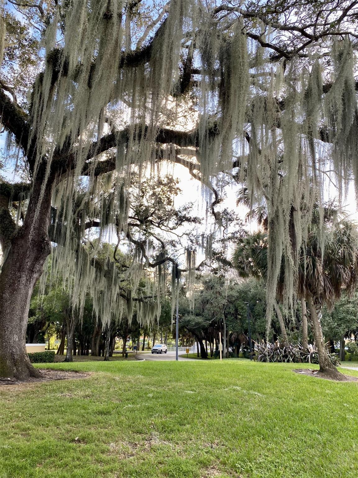 Sailboat Pointe - Residential