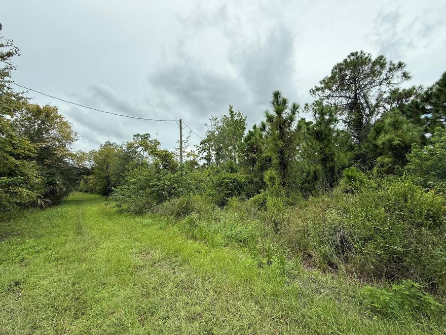 Fantastic opportunity to own a .46 acre lot in Okeechobee with unique flexibility! This property offers dual access -- one directly on Hwy 441 for maximum visibility and exposure, and another on NE 17th Ave for easy convenience. A manufactured home previously occupied the lot, so electric, water, and septic are already in place (buyer to confirm), saving thousands in setup costs. With no HOA or deed restrictions, this site is perfect for a custom home, manufactured home, or even a business venture taking advantage of the highway frontage (buyer to verify zoning and use). Enjoy a peaceful setting just minutes from downtown Okeechobee, shopping, schools, and major roads.