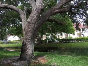 LEXINGTON GREEN CONDO at PGA National - Residential