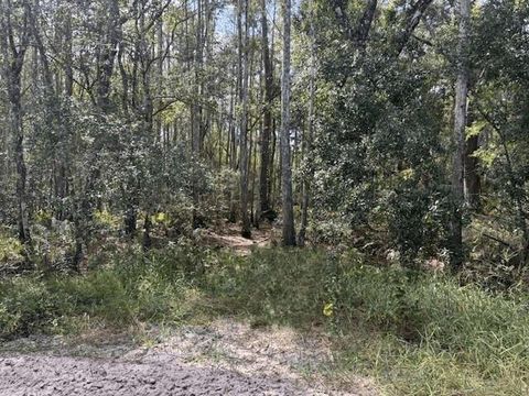 0 County RD 54 E Kathleen FL 33849