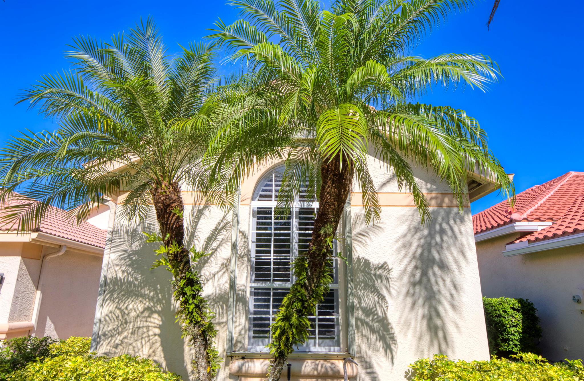 Lake Charles - Residential