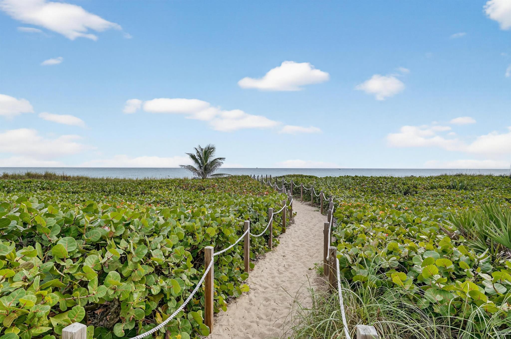 WINDEMERE HOUSE CONDO - Residential Lease