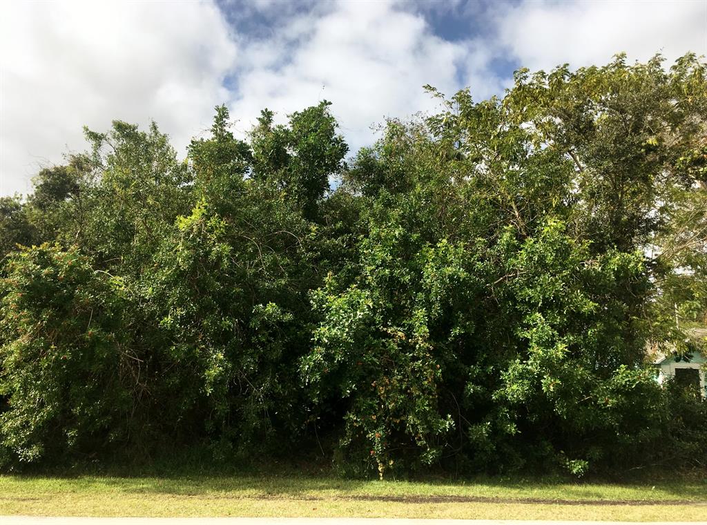 PORT ST LUCIE SECTION 40 - Land