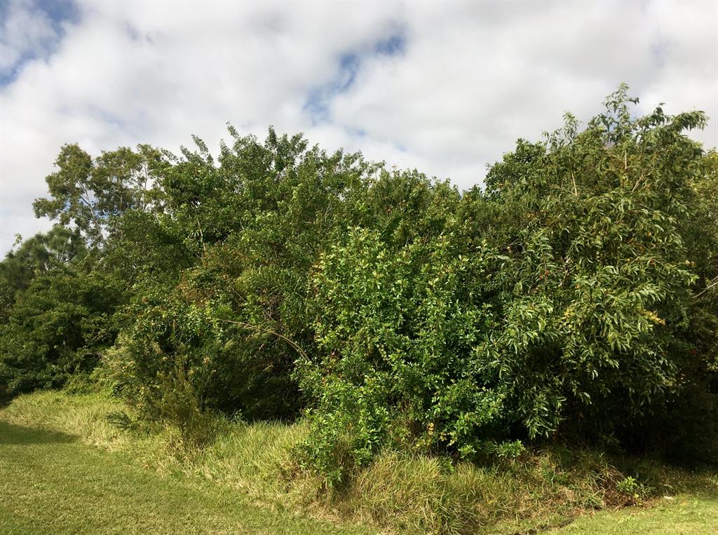 PORT ST LUCIE SECTION 40 - Land