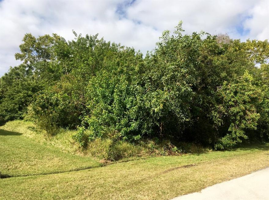 Build your dream home on this beautiful lot in a great neighborhood East of US Hwy 1 in Port St. Lucie.  Convenient to schools, shopping and restaurants.  15 minutes to the beach!