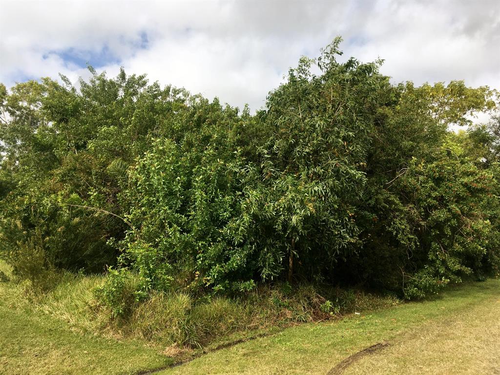 PORT ST LUCIE SECTION 40 - Land
