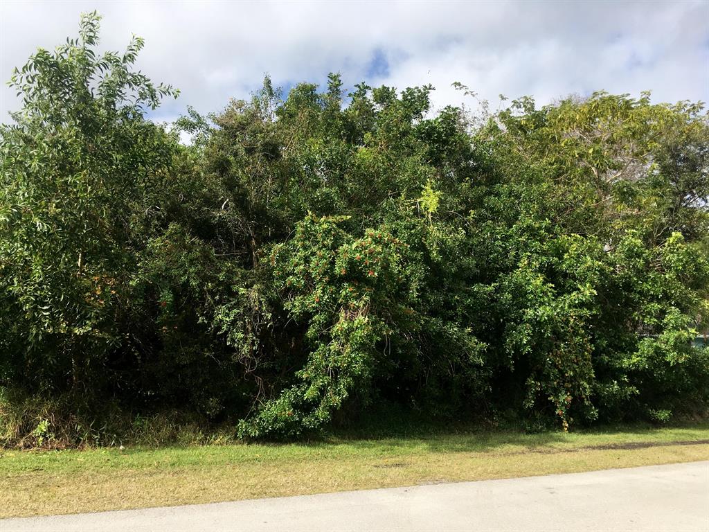 PORT ST LUCIE SECTION 40 - Land