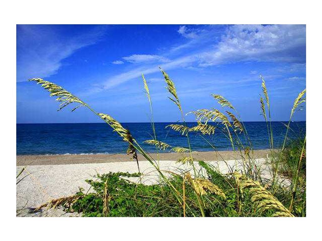 Photo of 275 Palm Avenue Ave #B206, Jupiter, FL 33477 (MLS # R10826710)