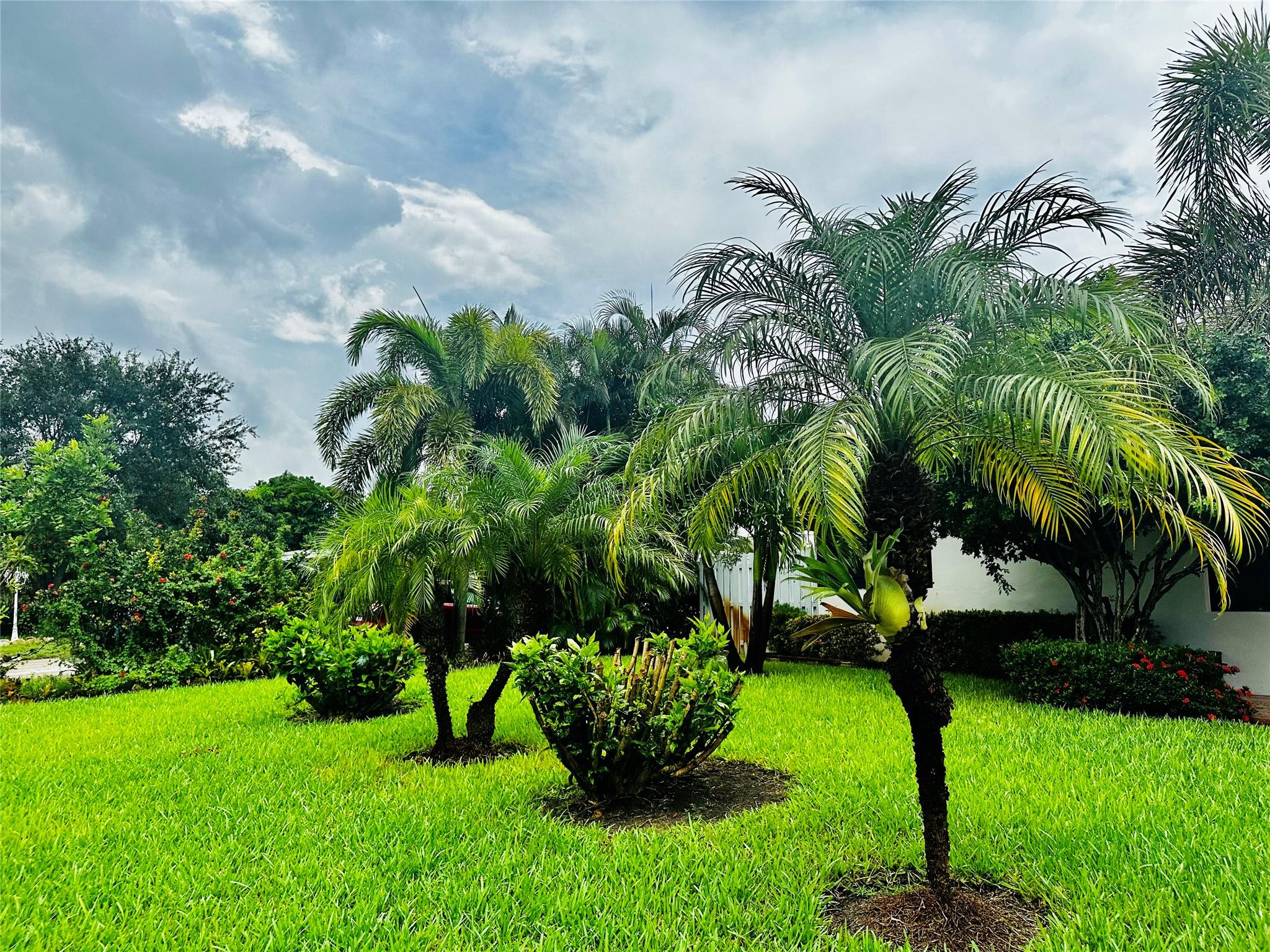 Collier Manor 5th Add 40- - Residential