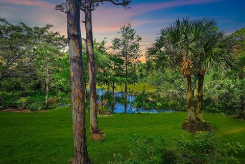 A home in Palm City