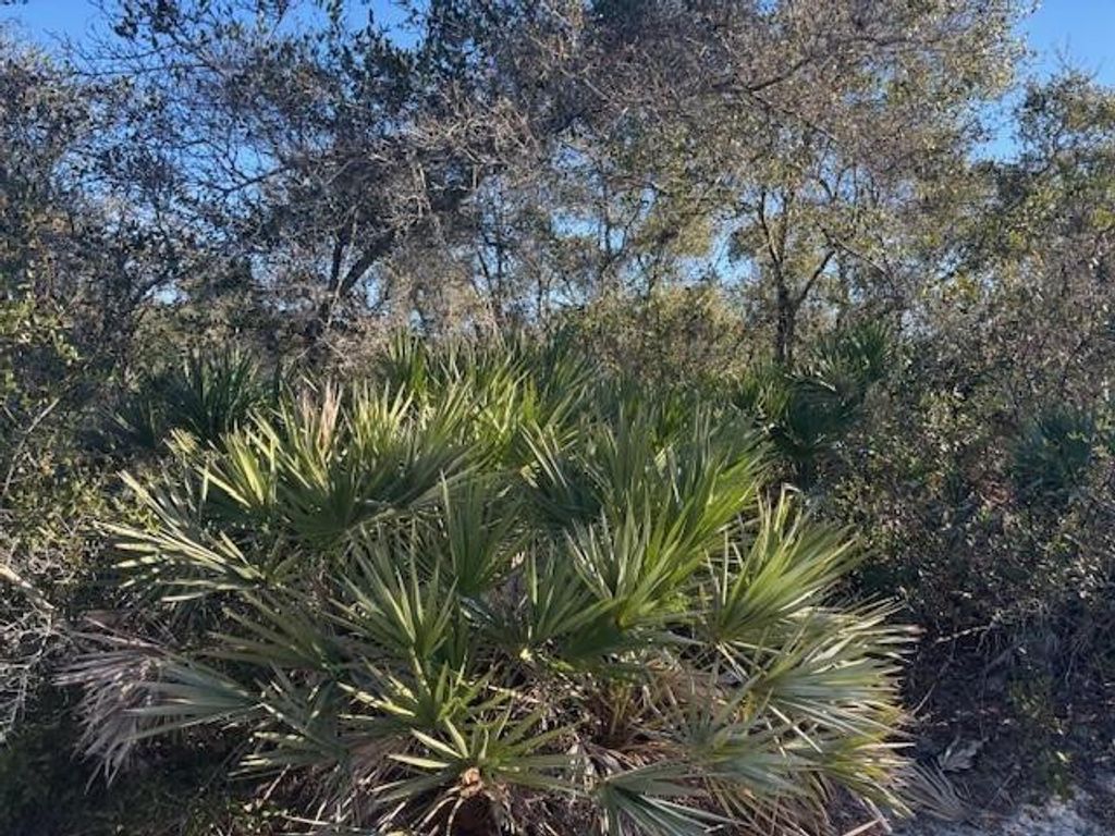 Photo of 2280 93rd Court, Vero Beach, FL 32966 (MLS # F10550493)