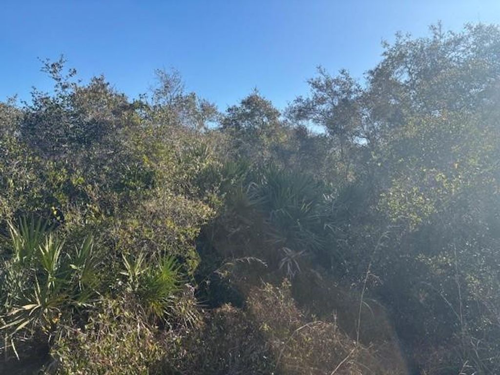 Photo of 2280 93rd Court, Vero Beach, FL 32966 (MLS # F10550493)