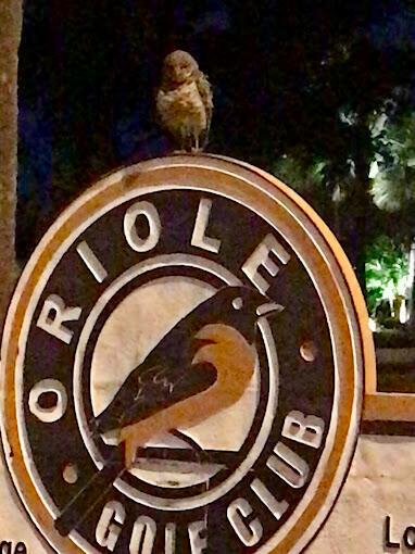 ORIOLE GOLF & TENNIS CLUB - Residential Lease
