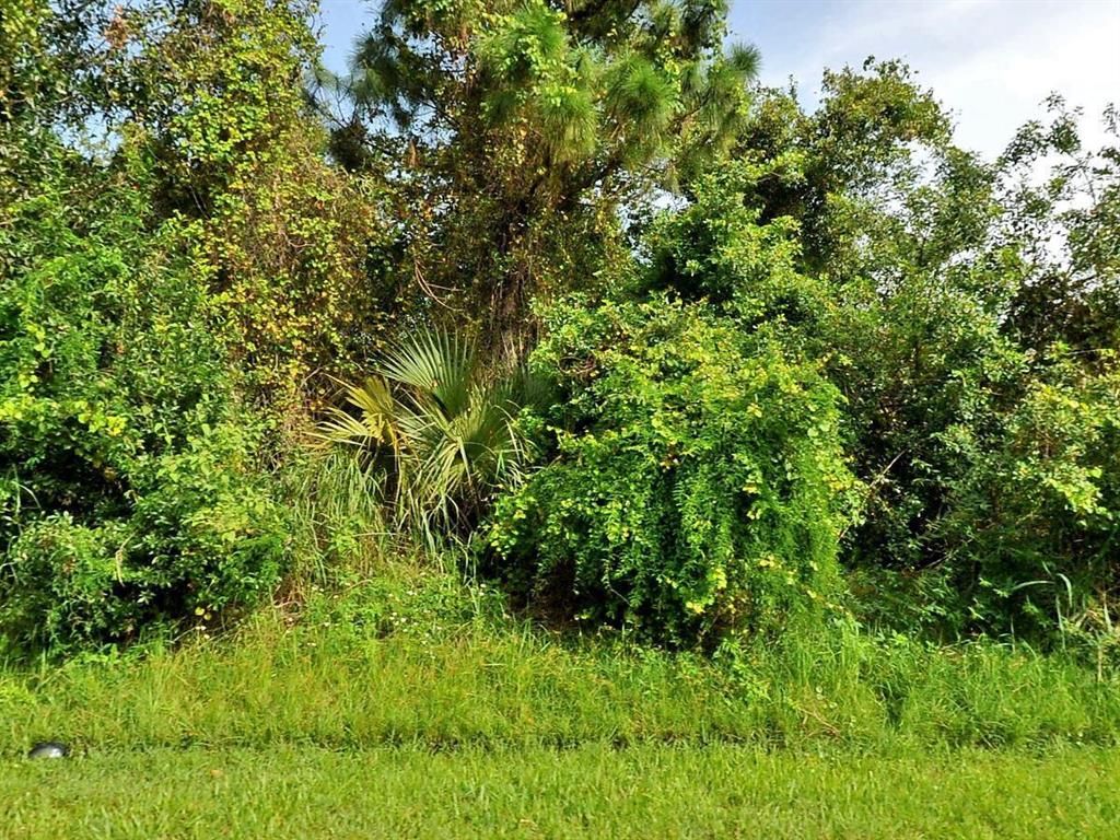 Photo of 2237 SW Mount Vernon Street, Port Saint Lucie, FL 34953 (MLS # R10745548)