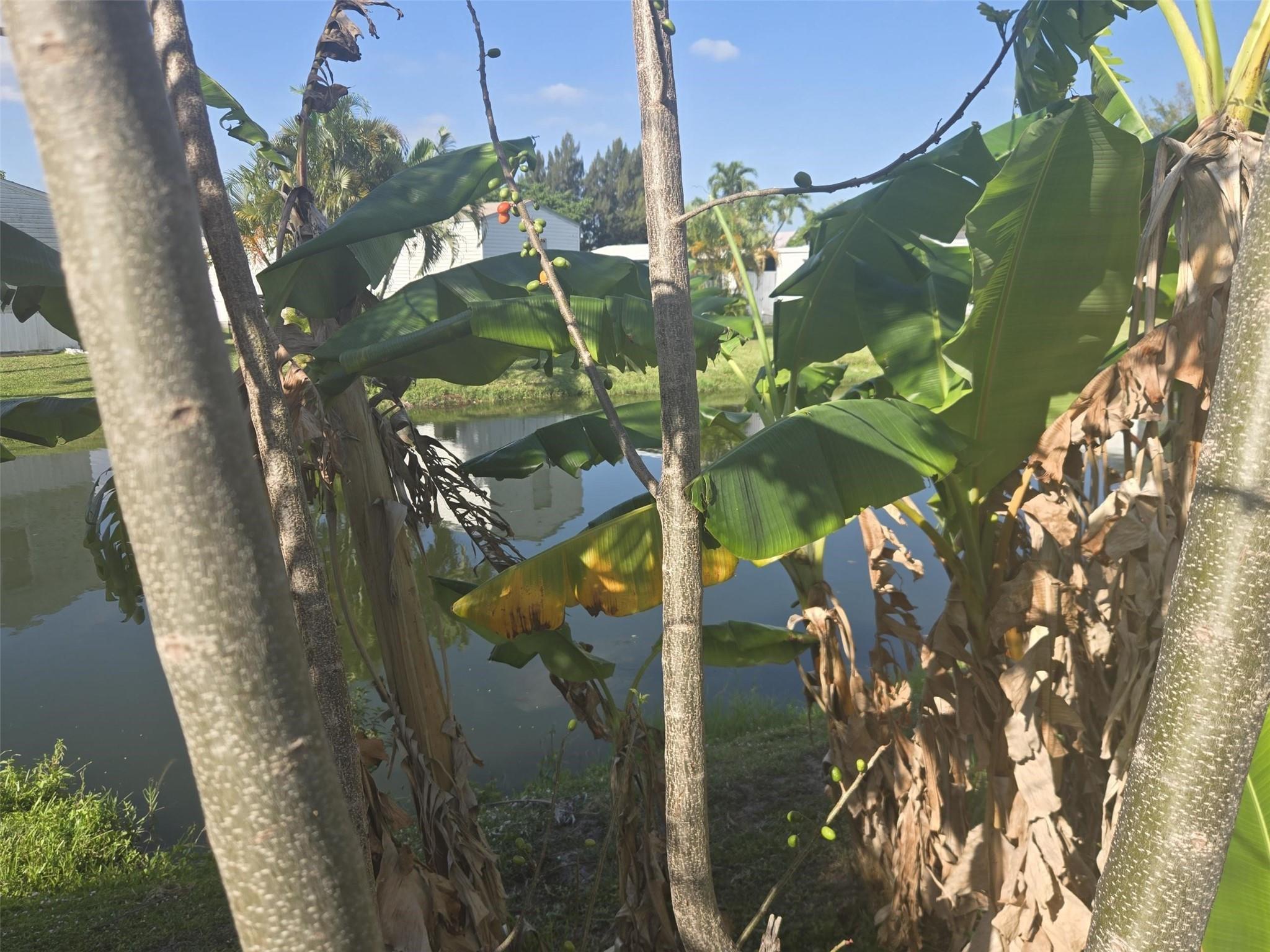 Everglades Lakes - Residential