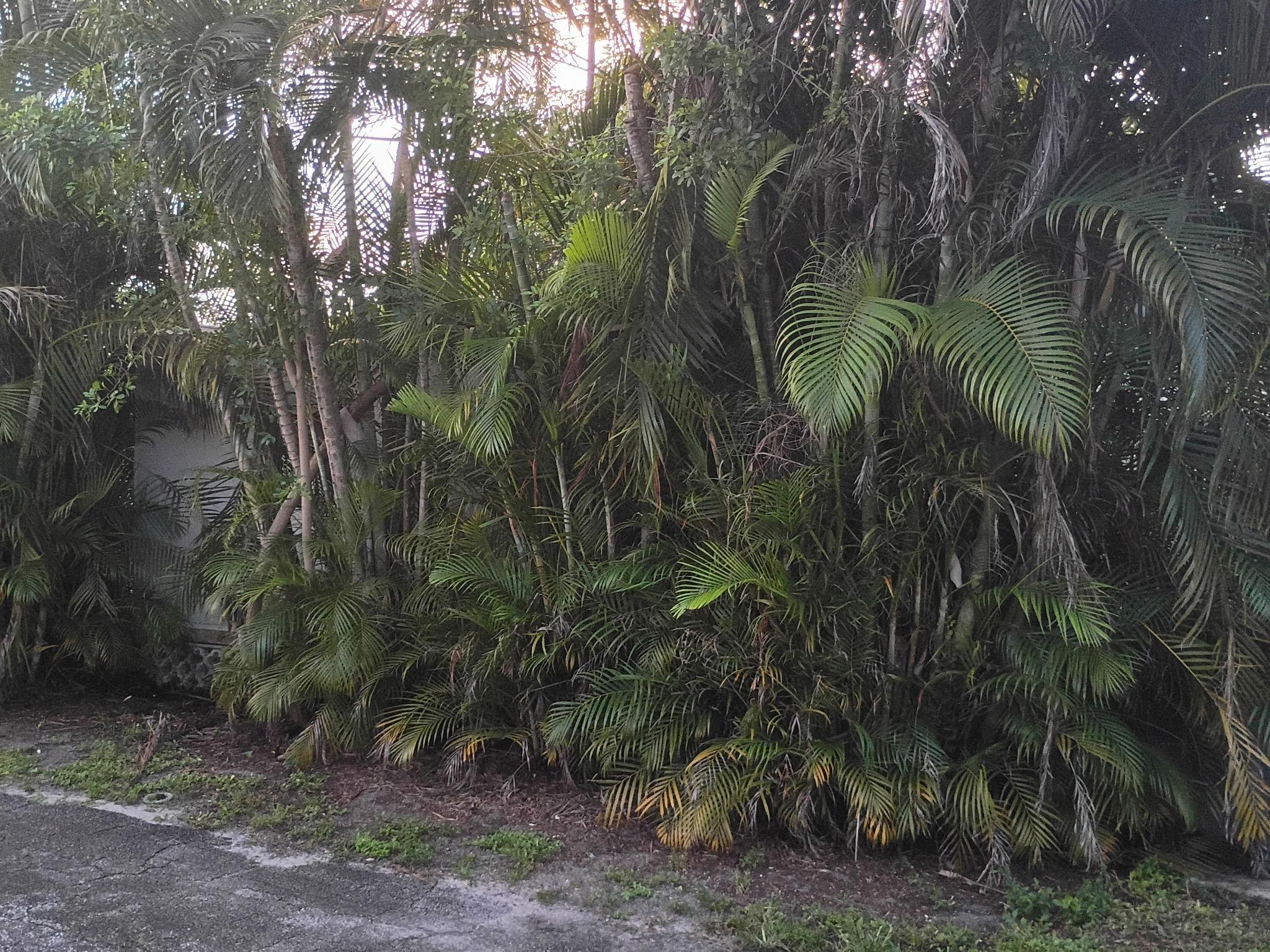 Everglades Lakes - Residential